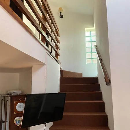 Apartment Nini Vlasina