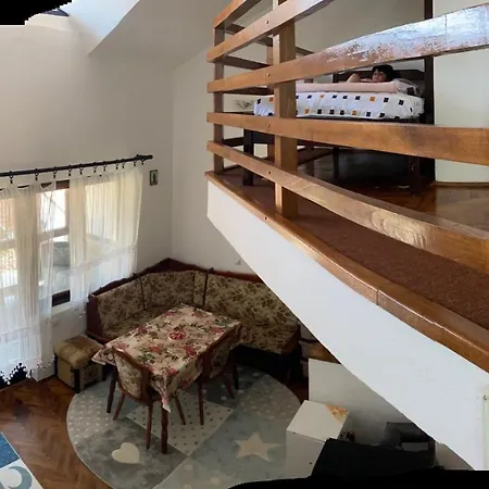 Apartment Nini Vlasina *