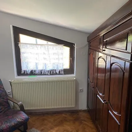 Apartment Nini Vlasina *