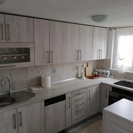 Nini Vlasina Apartment Vlasina Rid