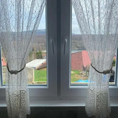 Nini Vlasina *