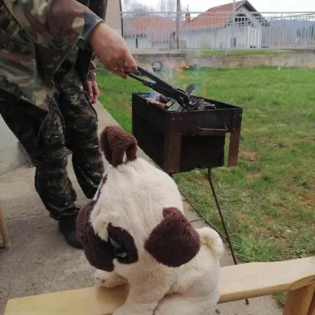 Nini Vlasina *